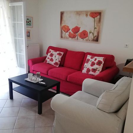 Sunny Stay Furnished Apartment In Kanoni Exteriér fotografie